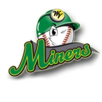 WVMiners Profile Picture