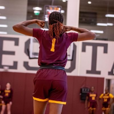 gophers wbb 〽️

🕊Hebrews 10:36🕊