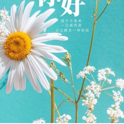 huiyi04211910's profile picture. 你若盛开，蝴蝶自来