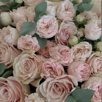 roaaju2's profile picture. 