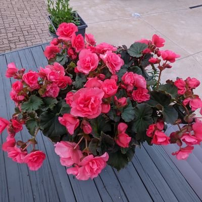 B1586868's profile picture. 