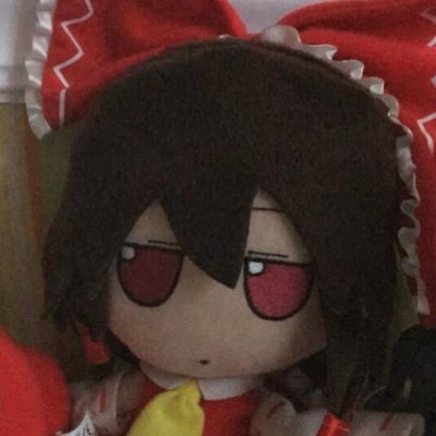so the i follow fumos account just followed me so why not become a fumo lmao