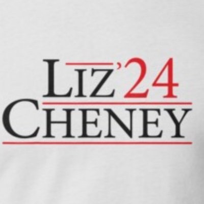 Vote for Liz Cheney in the critical 2024 SC Republican Presidential Primary. #CheneyForPresident #SCpol