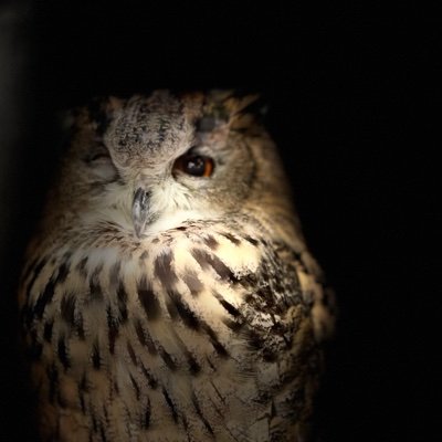 yoshichu4429's profile picture. 私がつぶやくのは、ある出来事を切り取ったその一瞬。 それまでの過程や、これから起きる未来はあなたの想像次第。 私のつぶやきは、思考のきっかけにすぎない。