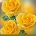 Nourah Saad (@nourah_1919) Twitter profile photo Nourah Saad (@nourah_1919) Twitter profile photo