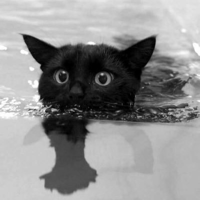 AidielNaqiuddi5's profile picture. 