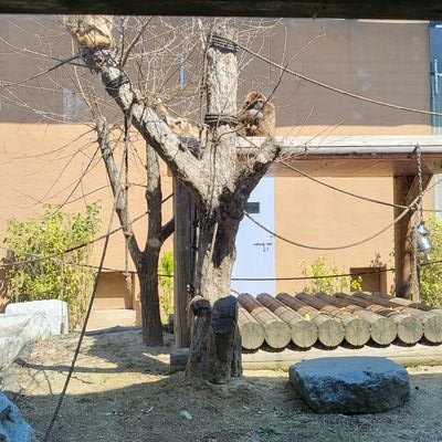 YGeunseung's profile picture. 