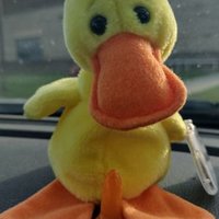 TransDuck (@transduckie) 's Twitter Profile
