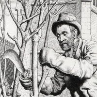 David Hogan (@hedger_hogan) 's Twitter Profile