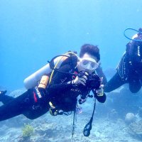 Taufik Bonaedy (@tbonaedy) 's Twitter Profile