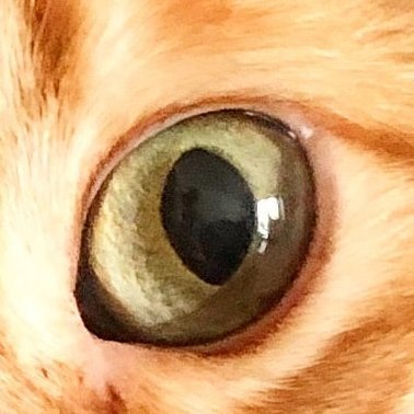 incognitoaswell's profile picture. 