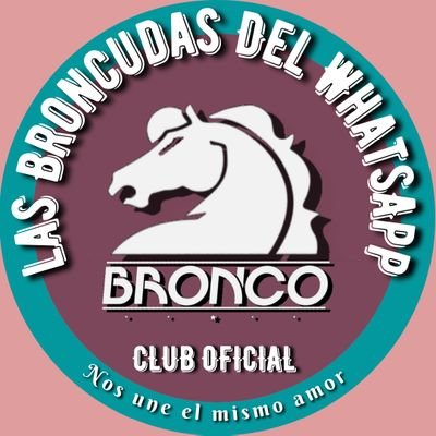 Club Oficial Las Broncudas del Whatsapp

                                      Nos une el mismo amor 🐴💕