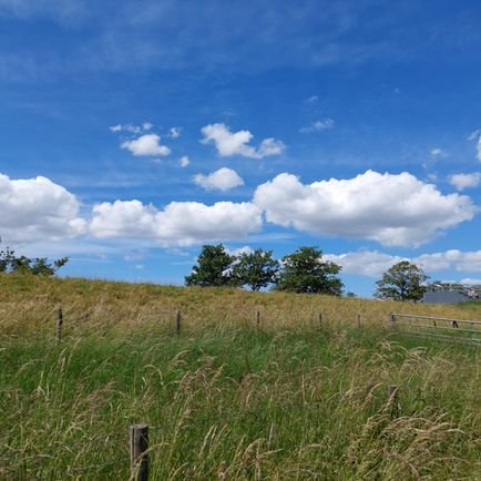 marieke1005's profile picture. Hij die niet weet wat hij zoekt, waardeert niet wat hij vindt/ vrijheid in denken in doen/leerrecht voor elk kind