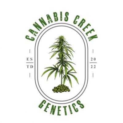 cannabis_creek Profile Picture