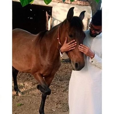 @operationSIN🔴 (horse lover 🐎)(Gun lover) | |
Discord ID: iamumar#3676