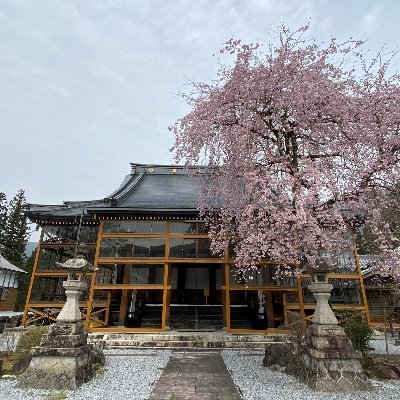 岐阜県本巣市根尾にございます専念寺のTwitterアカウントです。