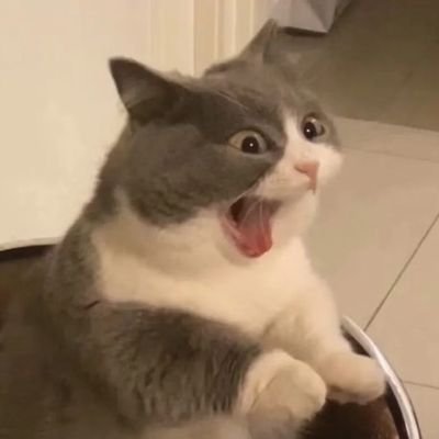 PeakLibin's profile picture. 