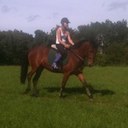 beth mcguinness - @bethmcguinness1 - Twitter