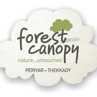 Forest Canopy(@forest_canopy) 's Twitter Profile Photo