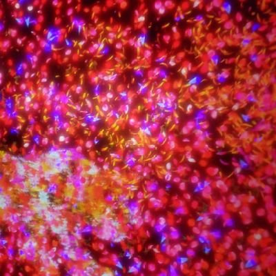 kazuuuuu0819's profile picture. 高卒済20↑  腐  雑食  本日も推しが尊い  コミュ障チキン  ROM専    rdunei、mzyd、ar鯖、stgr、🍼🚃