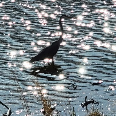 tachyonpoint's profile picture.