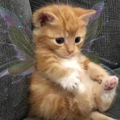 monsxxa's profile picture. 