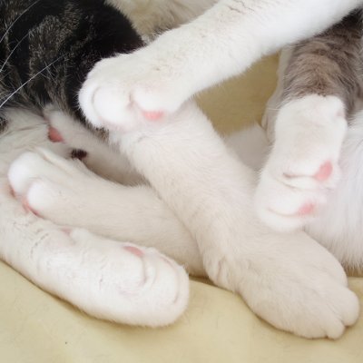 0szvqxv9fL5UuYu's profile picture. ドラマを見たり、犬の散歩をしたりします。
大河ドラマは風林火山からどっぷり。現代ドラマは眠れる森。
日曜夜は、皿洗いをダンナに任せて大河本放送タイミングで４K録画を見ています。