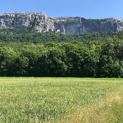 mic48815472's profile picture. 