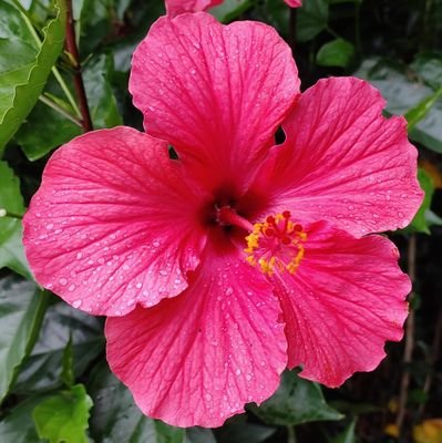 vijay151177's profile picture. 