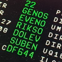 Fiumicino (@buttermaxx) 's Twitter Profile