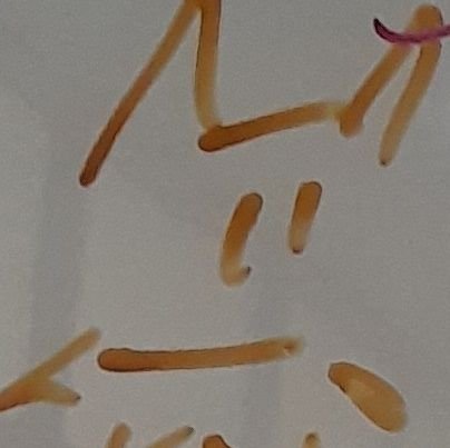 aommeilaiさんのプロフィール画像