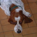 Lori Zook - @LoriZook1 - Twitter