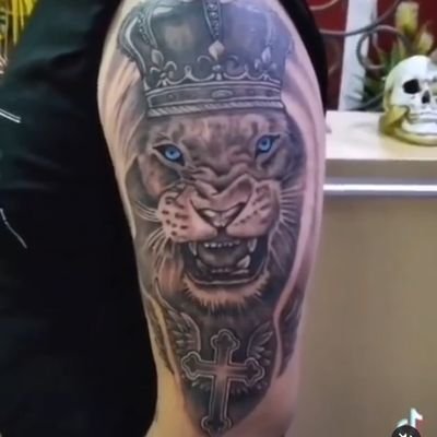 GorgiColkov's profile picture. 🦁🇲🇰🦁