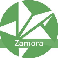 Anticapitalistas Zamora (@anticapizamora) 's Twitter Profile Photo