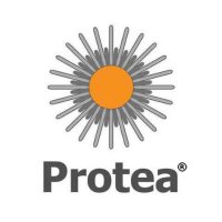 Protea Ltd. (@protealtd) 's Twitter Profile