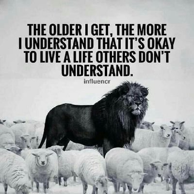 spree1982's profile picture. 