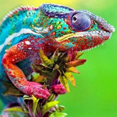 aarkay0010's profile picture. Retweet is NOT endorsement.