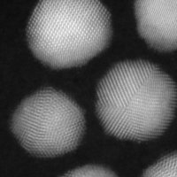 Kay Philp Lab (@nanosuprasta) 's Twitter Profile