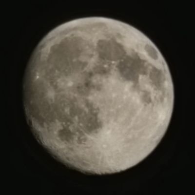 pontyplunger's profile picture. 