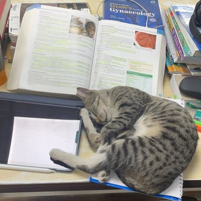 TaleSuprasad's profile picture. Medico 🧑🏻‍⚕️
Only Traveling 💕