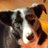 Cindy Baxter @cindybax.bsky.social