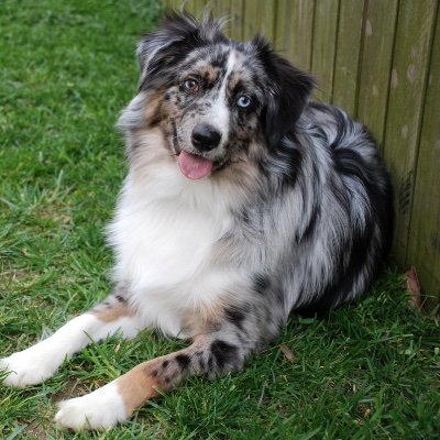 MiguelBarrera56's profile picture. like meeting new people , love getting high , soccer , peace and love , , if i follow you follow back :)