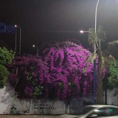 xiiiixxyzm's profile picture. 