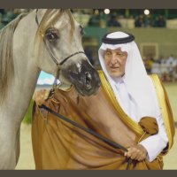 موفق الروقي (@moafg3) 's Twitter Profile