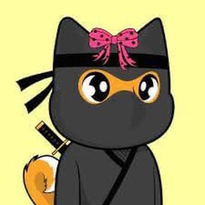 Flashinu1's profile picture. Airdrop hunter