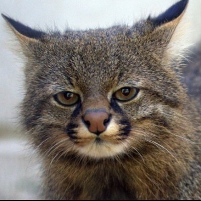 Anttoni39646623's profile picture. 