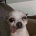 ñigonga (@enegu_) Twitter profile photo ñigonga (@enegu_) Twitter profile photo