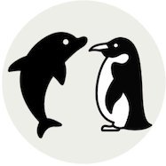 🐬会社をクビになったイルカとペンギンが好きな40代🐧 社畜の反動で遊び惚けるのが大好きです👻内容は同じ場所に行く時や遊びをする時に知ってるだけで役立つヒントや楽しみ方を記事にして発信してます🎣