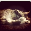 Melanie McGrath - @Mel_McGrath - Twitter