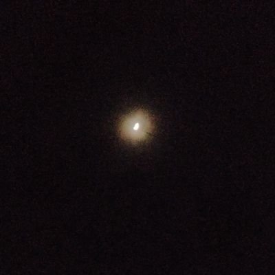 LittleSmol_'s profile picture. Hello.